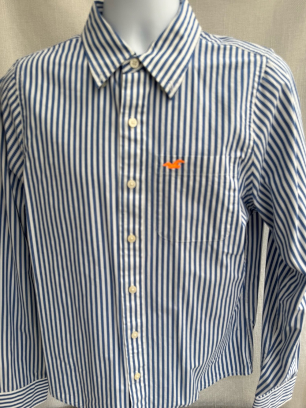 Hollister Blue and White Striped Button-Down Shirt with Orange Logo
